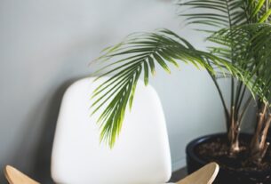 brown wooden chair beside plant